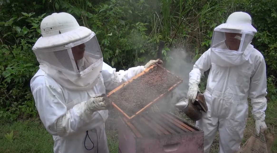 Miel en la cuenca del Canal