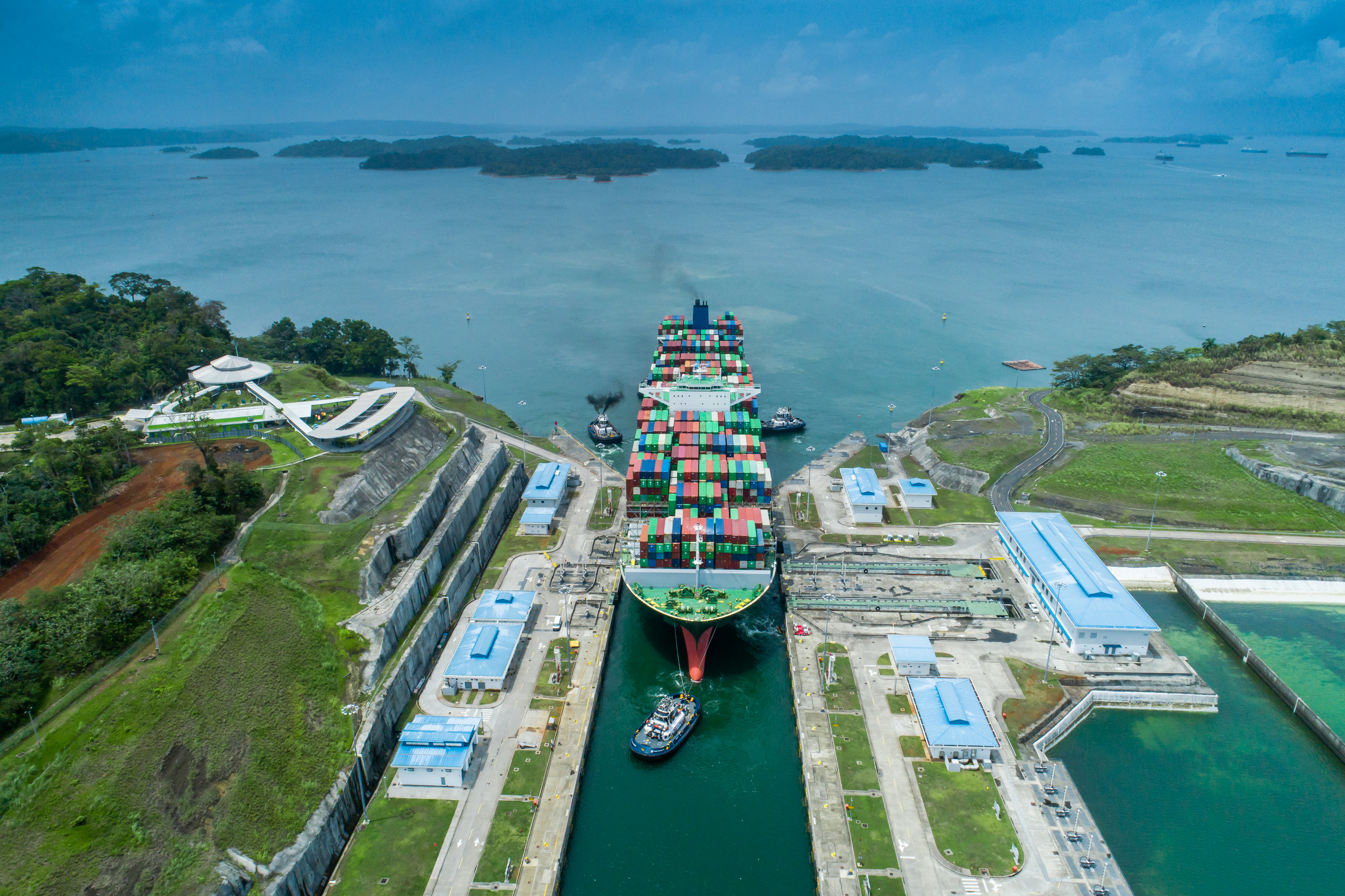 Gestión del conocimiento